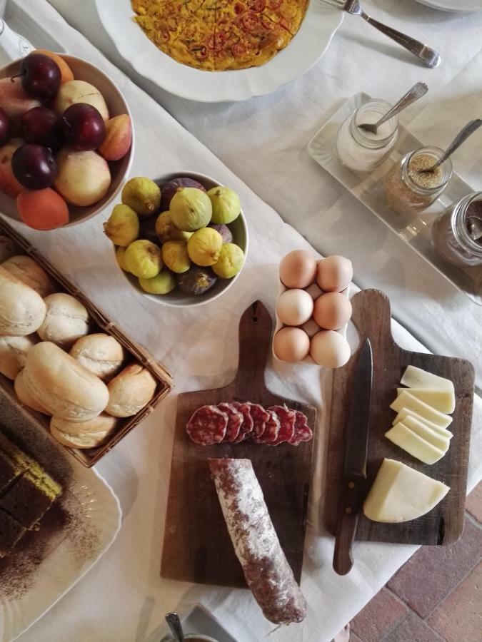 Agriturismo La Romagnana 피스토이아 외부 사진