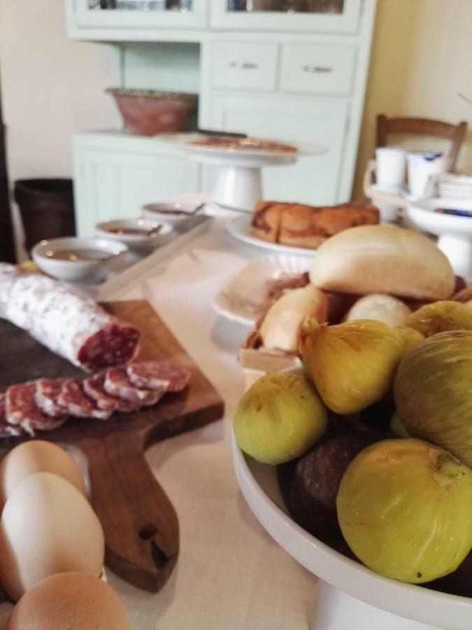 Agriturismo La Romagnana 피스토이아 외부 사진